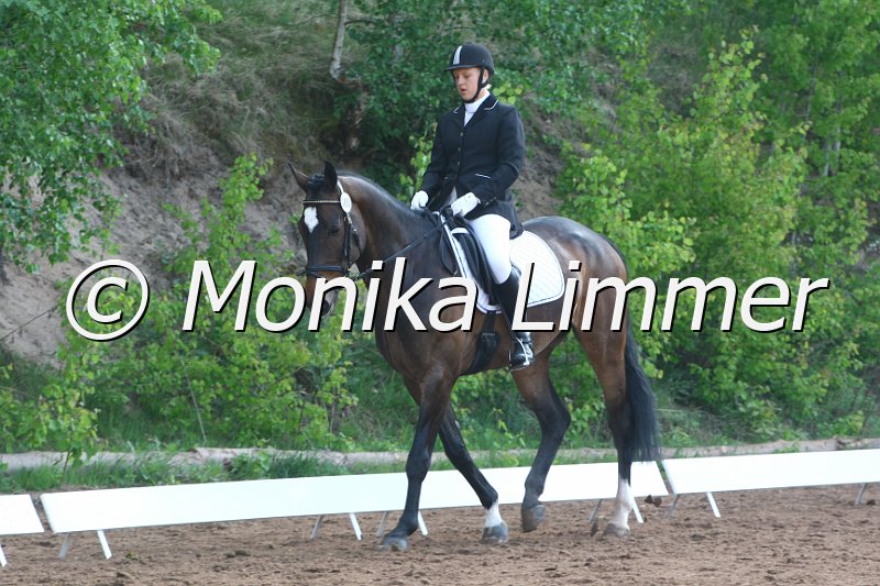 104M4965_Red Zack_Dressur E.JPG